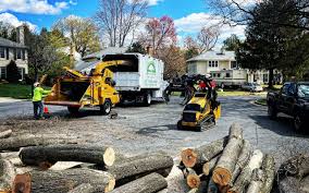 Best Commercial Tree Services  in Bradford, RI