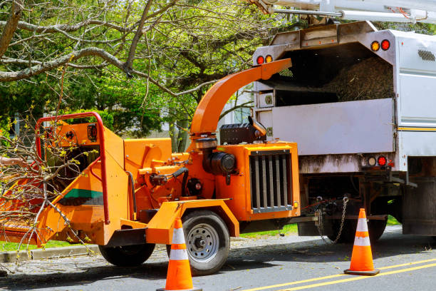 Best Firewood Processing and Delivery  in Bradford, RI